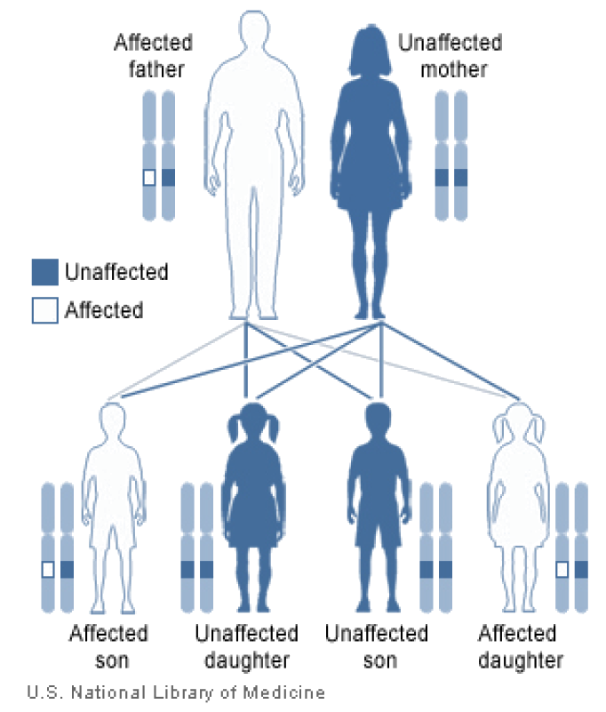 The Genetic Perspective Is MALS Inherited